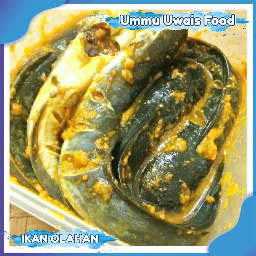 Lele Bumbu Kuning Siap Masak / 1 Kilogram