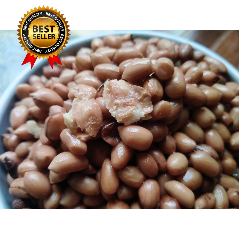  BEST SELLER  Umpan Ikan Bawal Kacang presto 1 kg || Ikan Bawal Masteran, Galatama, Harian dan lomba