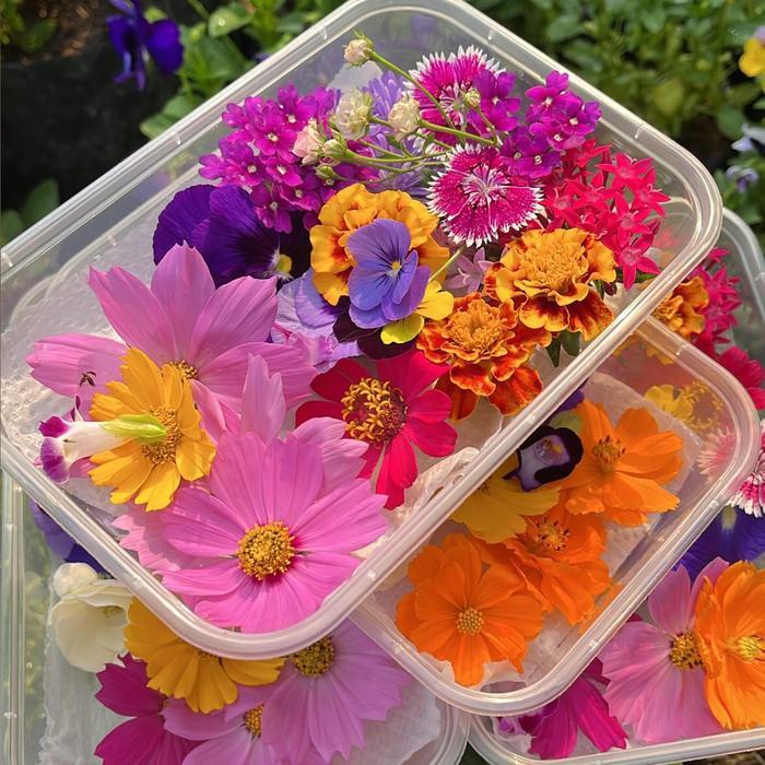 MIX EDIBLE FLOWER