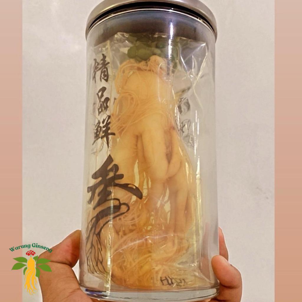 Paket Ginseng Jumbo Segar + Botol 1050ml | Herbal Impor Vakum untuk Rendaman Pria Dewasa