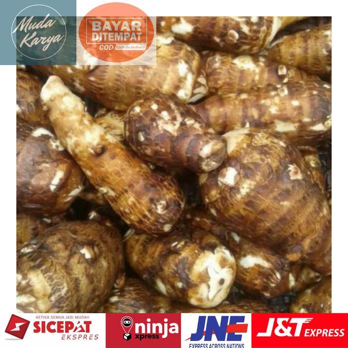 Umbi talas segar - umbi talas pulen 1 kg