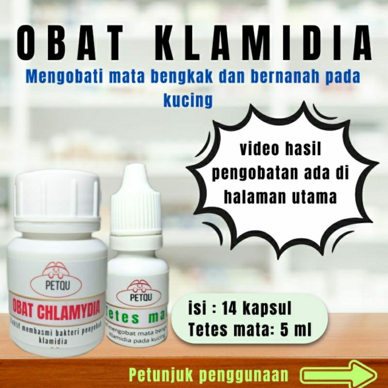 obat klamidia kucing-mata kucing bengkak bernanah