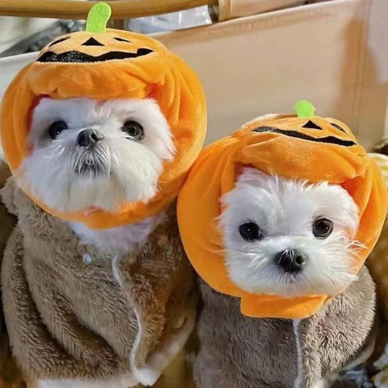 Topi Labu Dekorasi Halloween Bando Boneka Beruang Bulldog Prancis