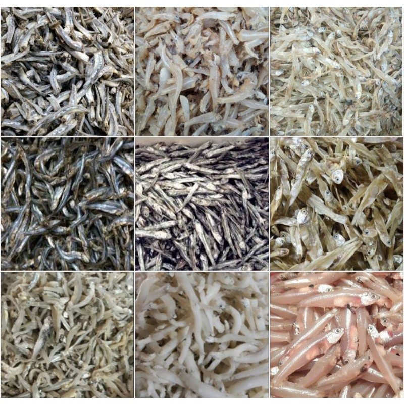 Aneka Teri Asin Segar (Teri Medan/Nasi/Jengki/Daging/Tawar)