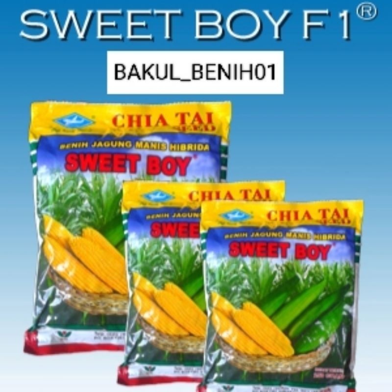 READY STOK RIPACK 250g JAGUNG MANIS SWEET BOY F1 PREMIUM SUPER UNGGUL SIAP TANAM
