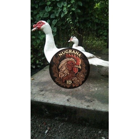 TELUR TETAS MENTOK / ENTOK JUMBO LEHER BETON ASLI RAKSASA NUGRAHA ID