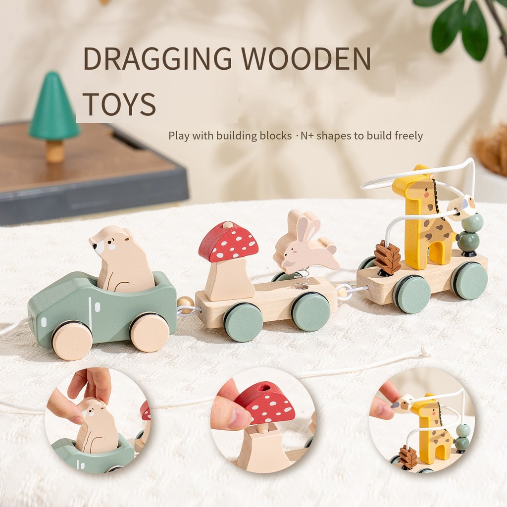 Wooden Animal Pull Along Toy, Montessori Stacking Blocks, Interactive Walking Toy for Toddler Motor 