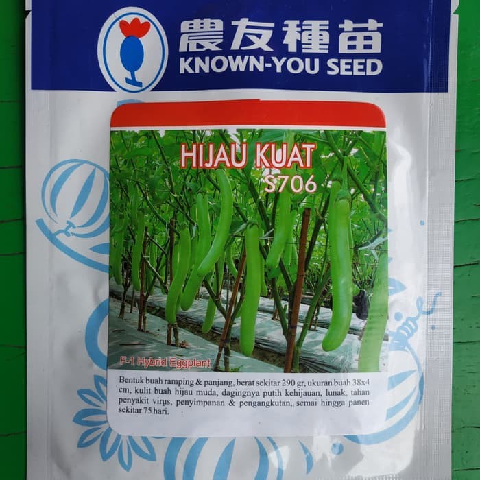 Promo_ Benih Terong Hijau Kuat Known You Seed (10 gram) Terlaris