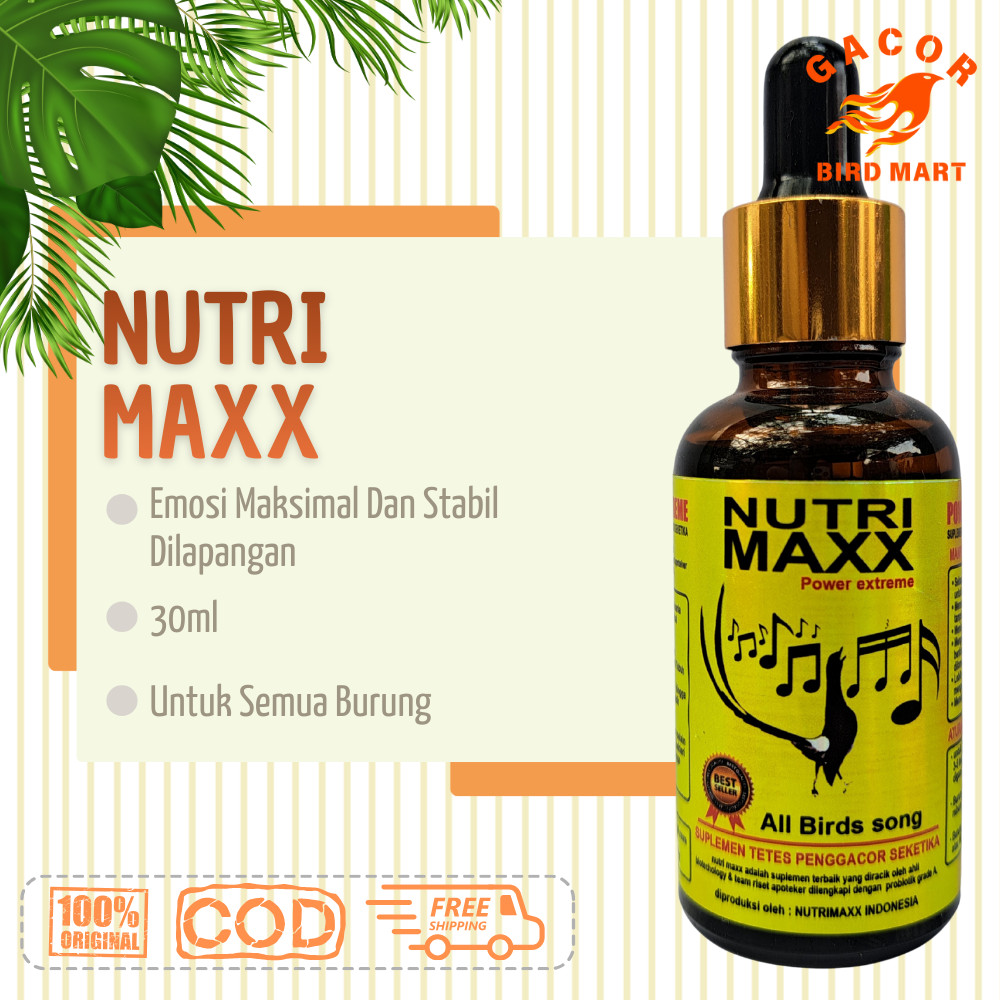 Nutrimaxx Power Extreme Vitamin Burung Penggacor Burung Kicau dengan probiotik grade A aktif