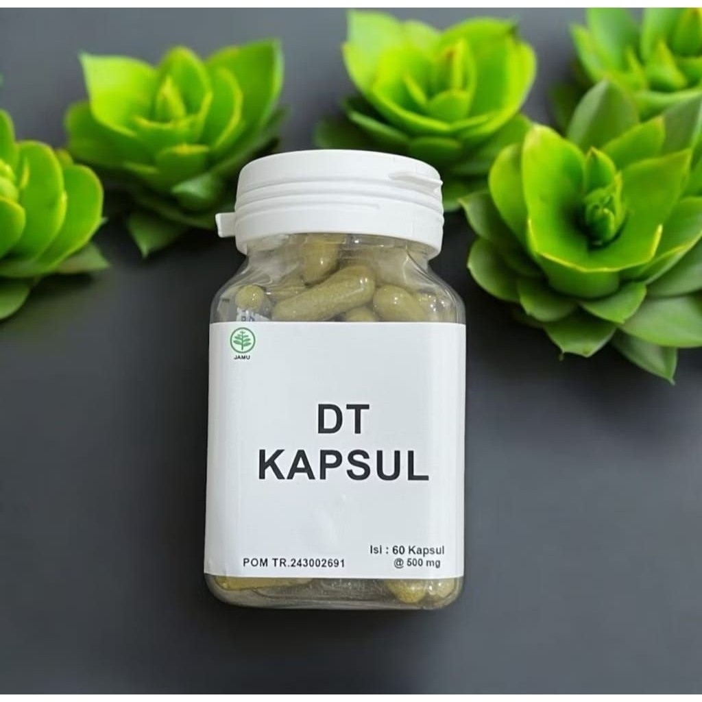 Garansi Pasti Ori ISI 60 Pcs DT KAPSUL PENGHANCUR LEMAK