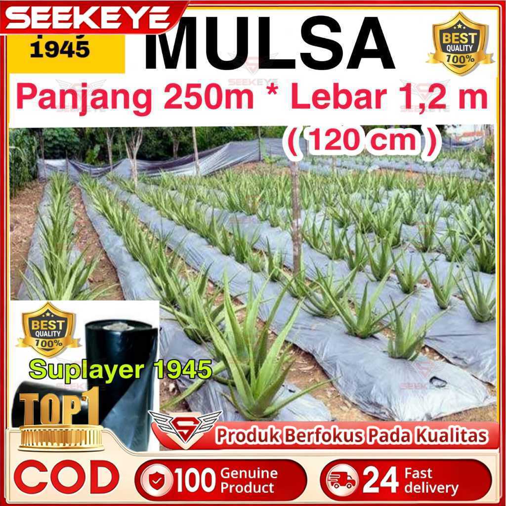 Plastik MULSA 1 ROLL hitam/perak ( Panjang 250 meter x Lebar 1,2 meter ) ROLL