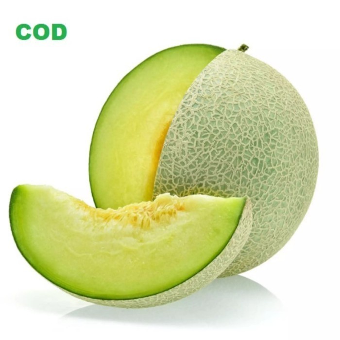 Bisa bayar di tempat - MELON HIJAU MANIS - 5 Biji / Benih / bibit MELON HIJAU / MELON MADU - bibit b