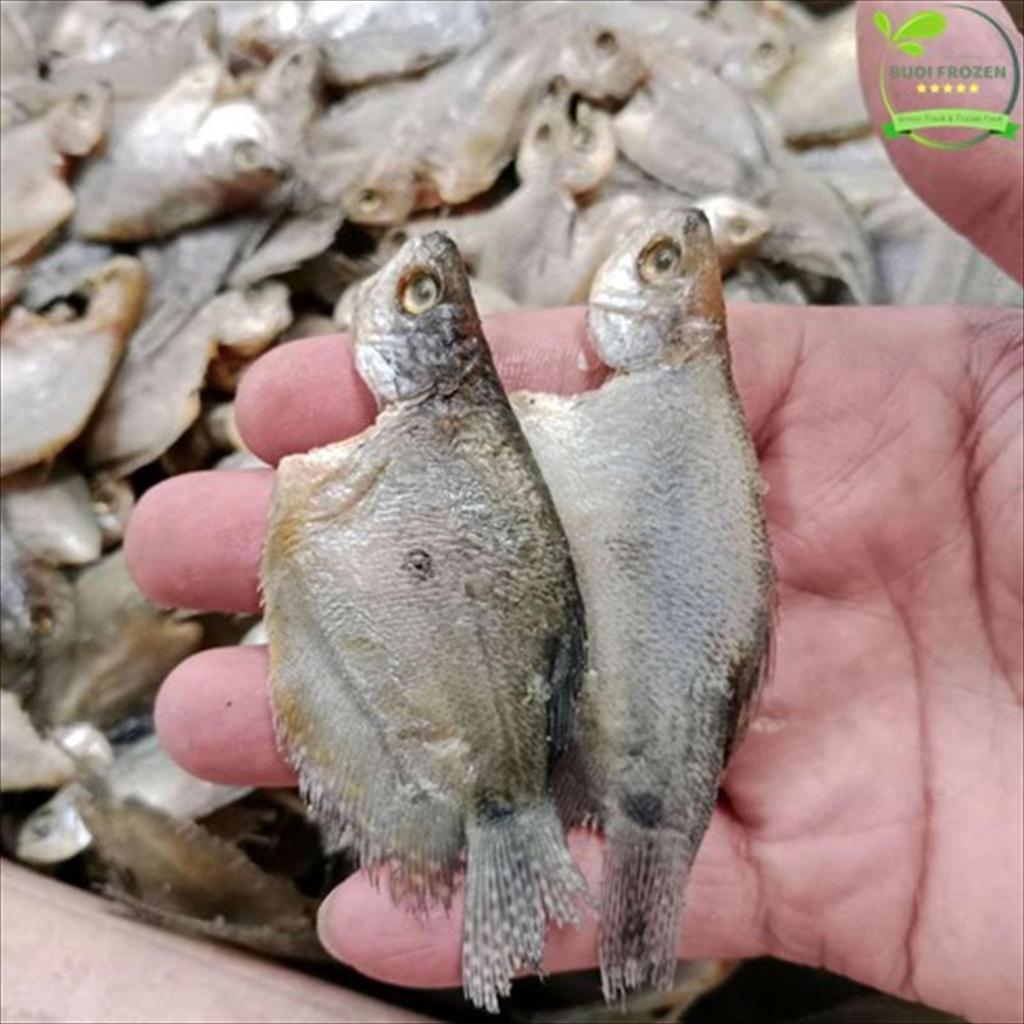 SEPAT / IKAN ASIN SEPAT KECIL / SEPAT KECIL 50 GR