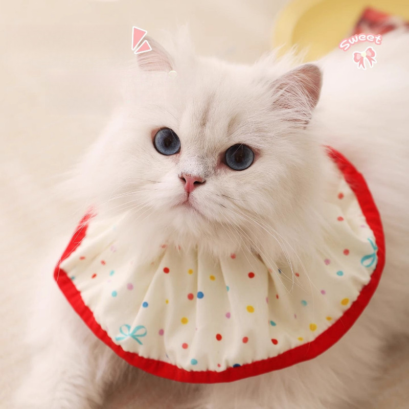 Aksesori syal lucu untuk hewan peliharaan, anjing dan kucing, kerah Elizabethan