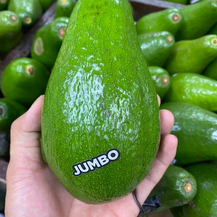 Alpukat jumbo super | alpukat jumbo metega 1,3 kg