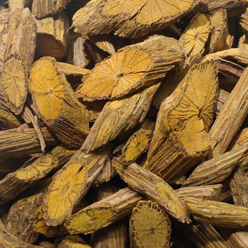 HERBAL AKAR KAYU KUNING BAJAKA /AKAR KI KONENG /AKAR BAJAKAH/250grm