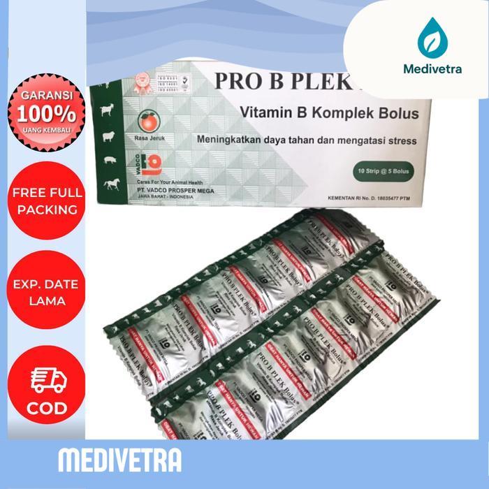 MEDIVETRA - PRO B PLEK Bolus / VITAMIN B KOMPLEK - OBAT TERNAK