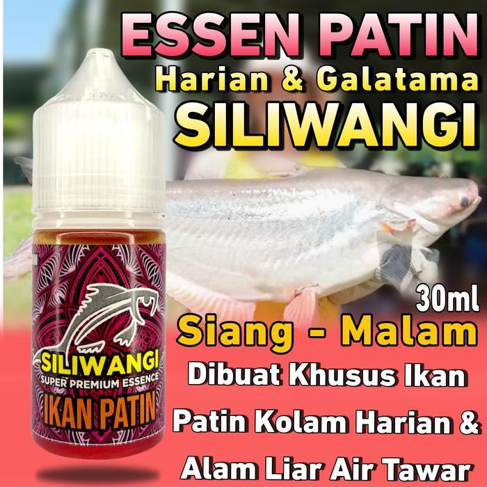 Essen ikan patin paling jitu, Essen ikan patin kolam harian & galatama