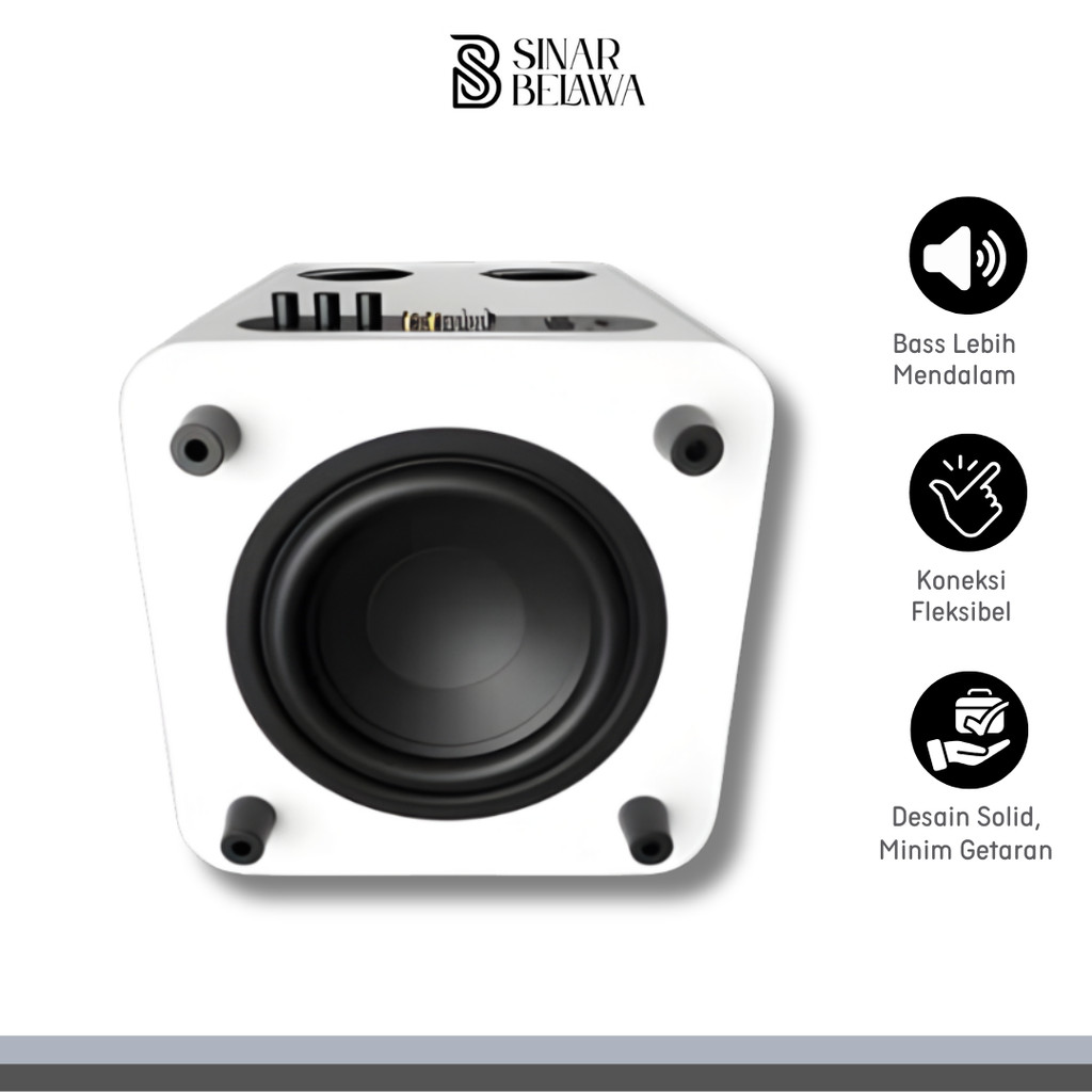 Audio Active Speaker Subwoofer HiFi 10 Inch Driver Smart DSP 200W