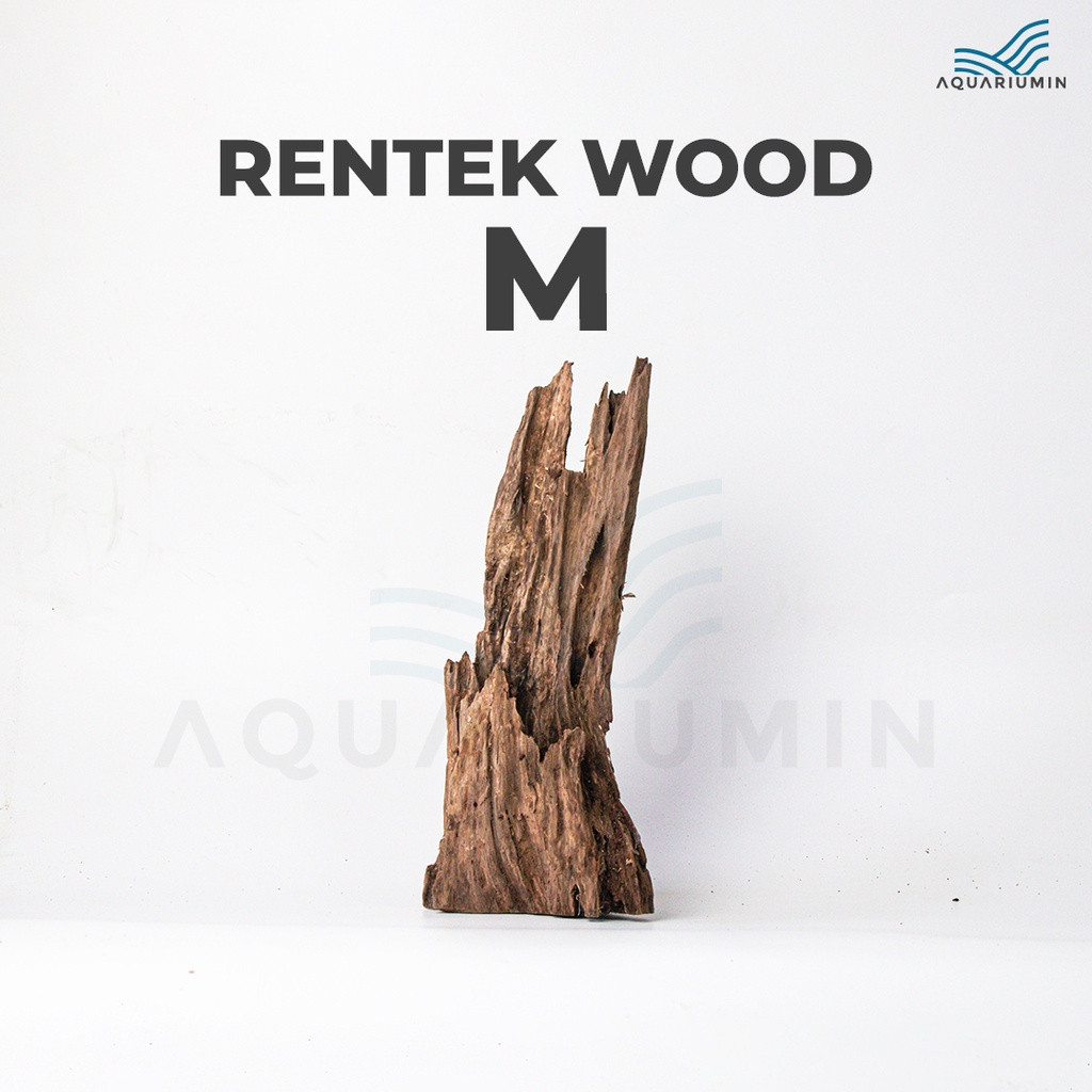 Kayu Rentek / Rentek Wood Size M Aquascape Aquarium