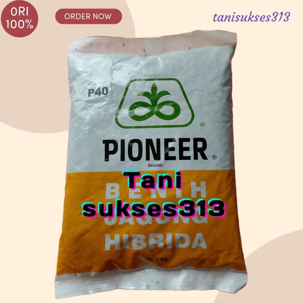 Benih jagung pioner p40 1kg bibit jagung hibrida p40 1kg benih jagung p35
