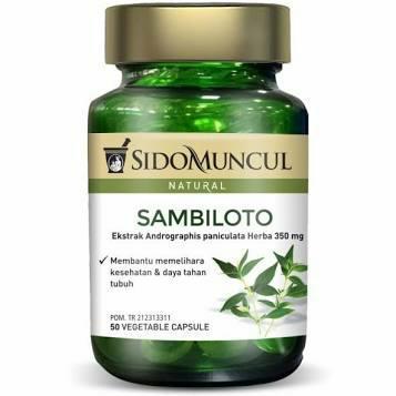 sambiloto sidomuncul