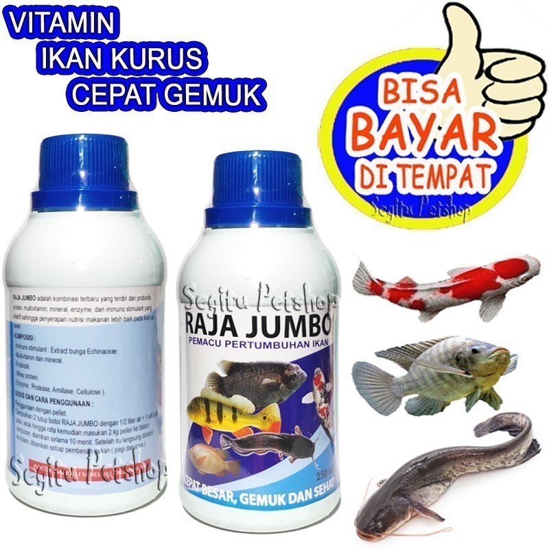 VITAMIN IKAN KURUS CEPAT GEMUK MAS MUJAIR LELE GURAMI PATIN BAWAL GABUS RAJA JUMBO Ikan Jadi Stabil