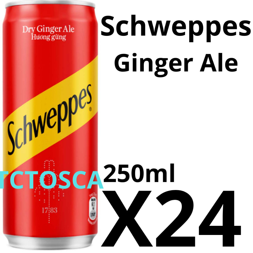 Ginger Ale | Schweppes Ginger Ale 250ml x 24 Pcs