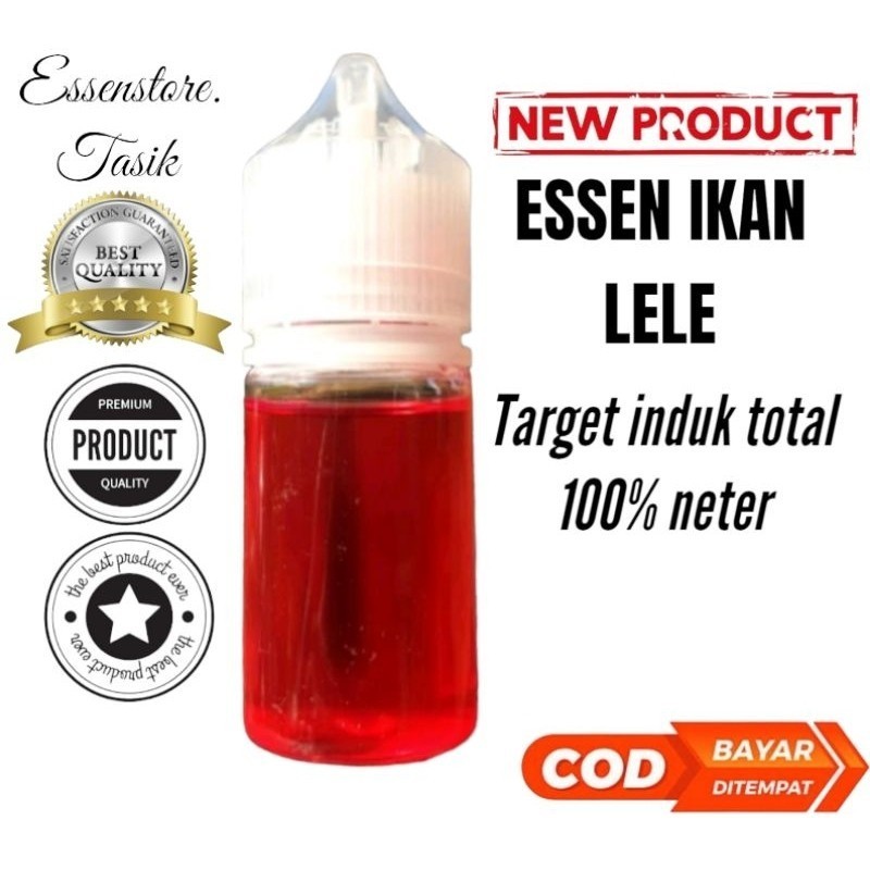 essen oplosan ikan lele essen indukan galatama galapung