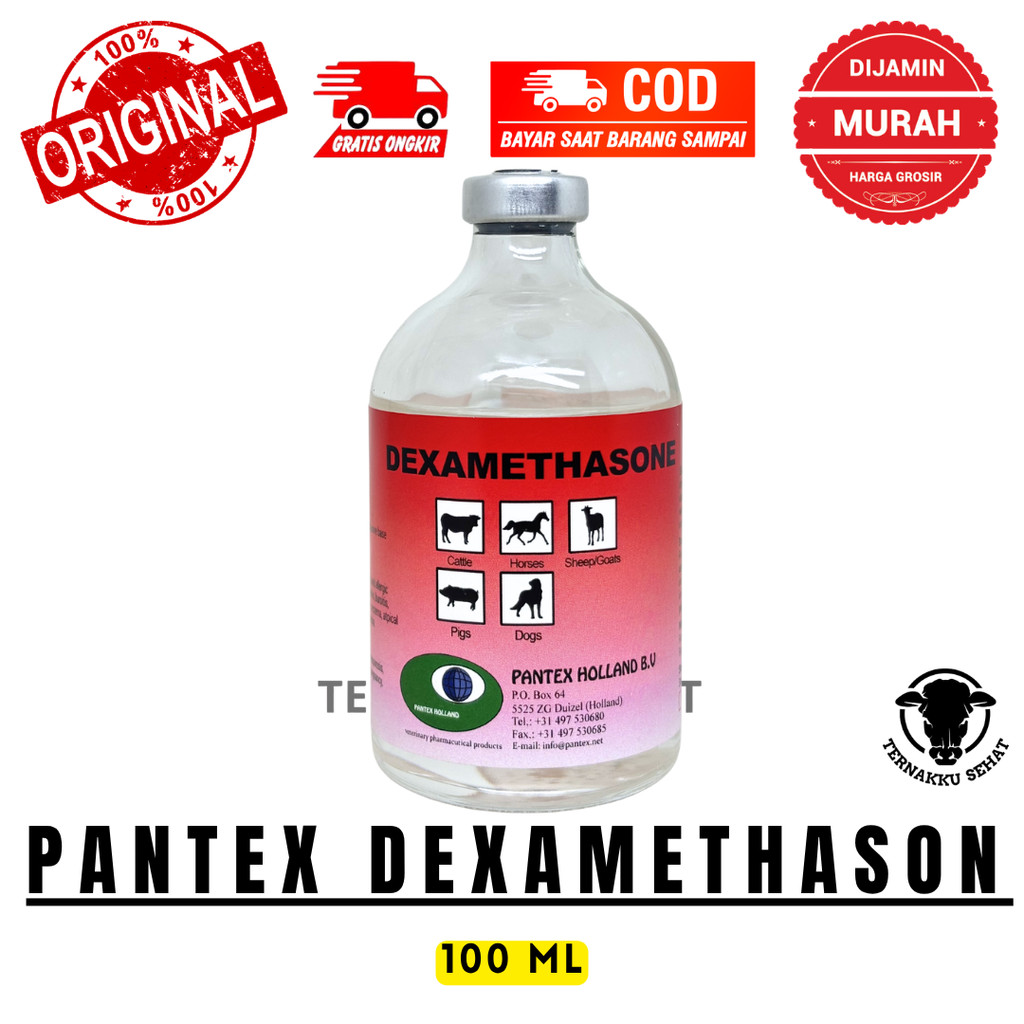 PANTEX DEXAMETHASONE 100ML - Obat Anti Inflamasi Hewan Sapi Kambing - Pantex Holland TS