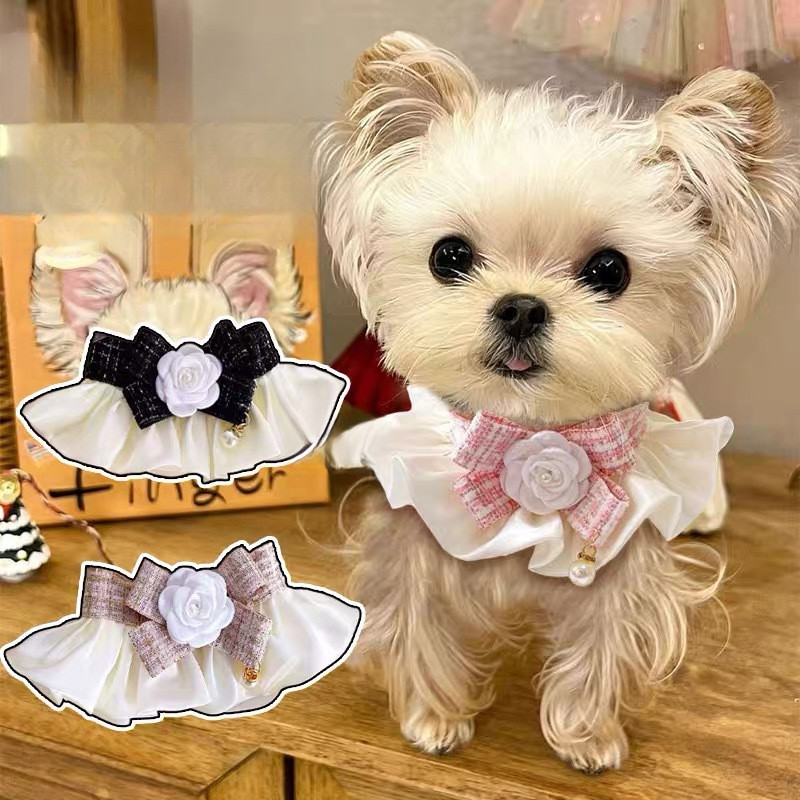 Selendang, celemek, syal, dan kalung untuk kucing dan anjing