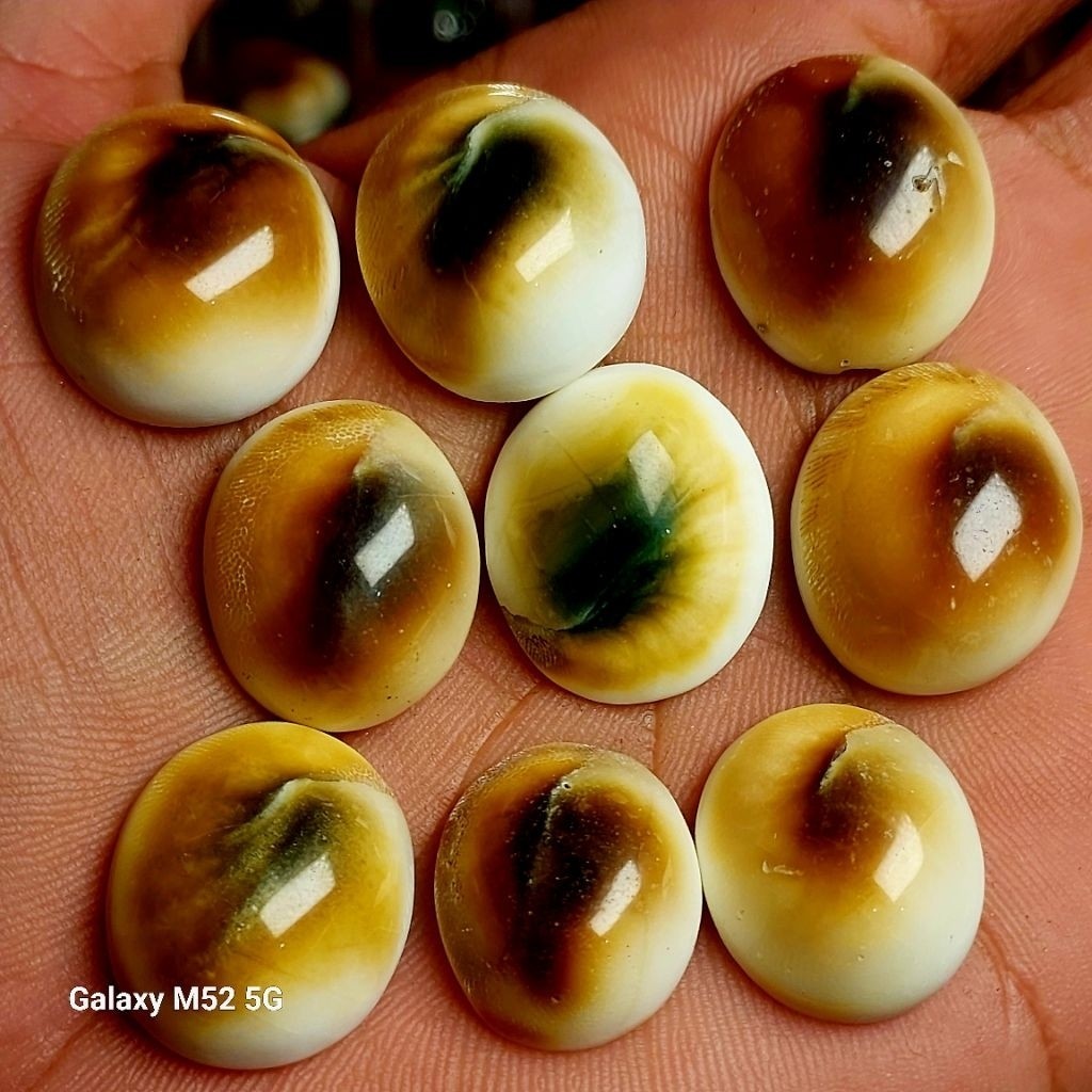 Batu Kol Buntet Asli Mineral 18-20 Mm