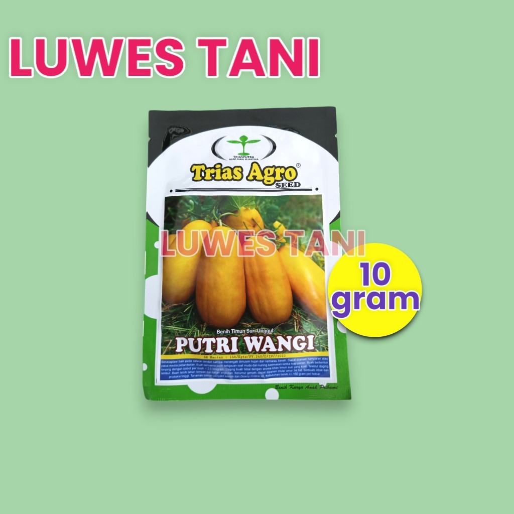 Benih Timun Suri Putri Wangi Kuning 10 Gram Bibit Timun Suri Produktif