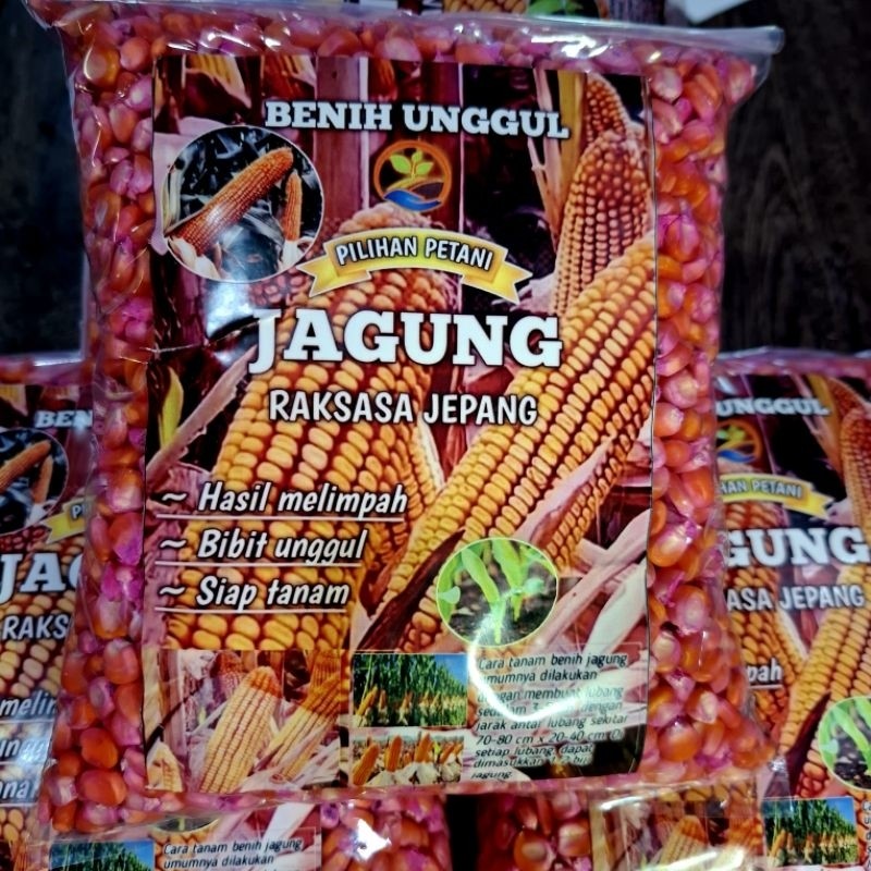 1 KG BIJI / BENIH JAGUNG RAKSASA JEPANG