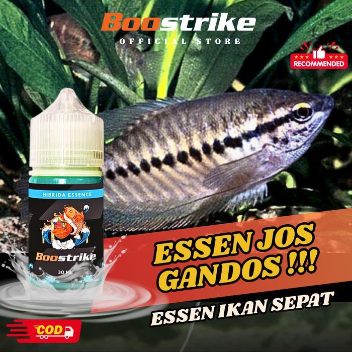 BOOSTRIKE - Essen Ikan Sepat Jos Gandos No Boncos 30 Ml HIBRIDA