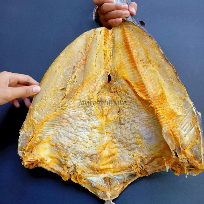 Ikan Asin Jambal Roti Ngeprul Super MENTEGA Khas Pangandaran Utuh (Jambal Roti Basah Ngeprul)