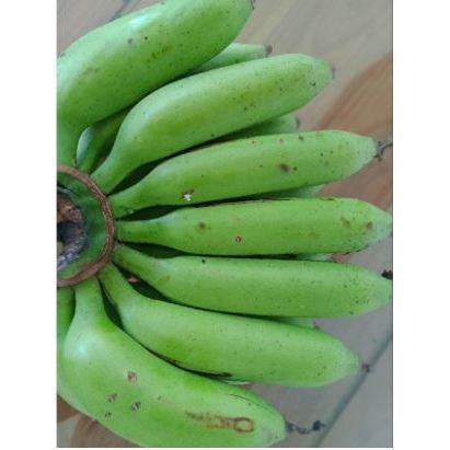 Buah Pisang Uli 1Kg Mentah /pisang Uli pilihan terbaik