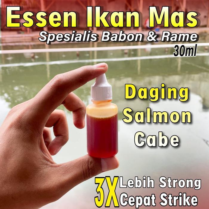 Essen Ikan Mas Paling Jitu, Essen ikan Mas Harian Paling Gacor