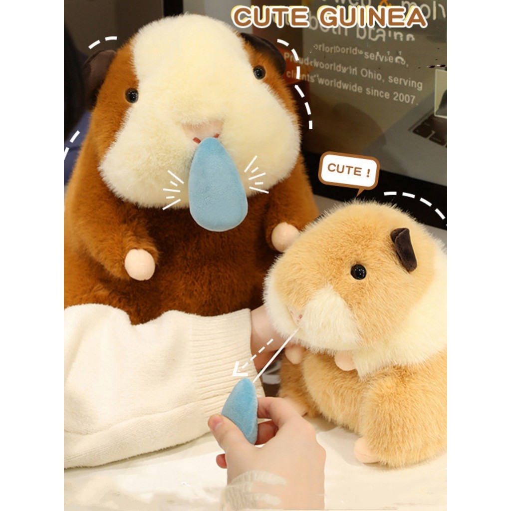Snot bear new Dut pig plush doll guinea pig toy guinea pig doll birthday gift for kids creative anim