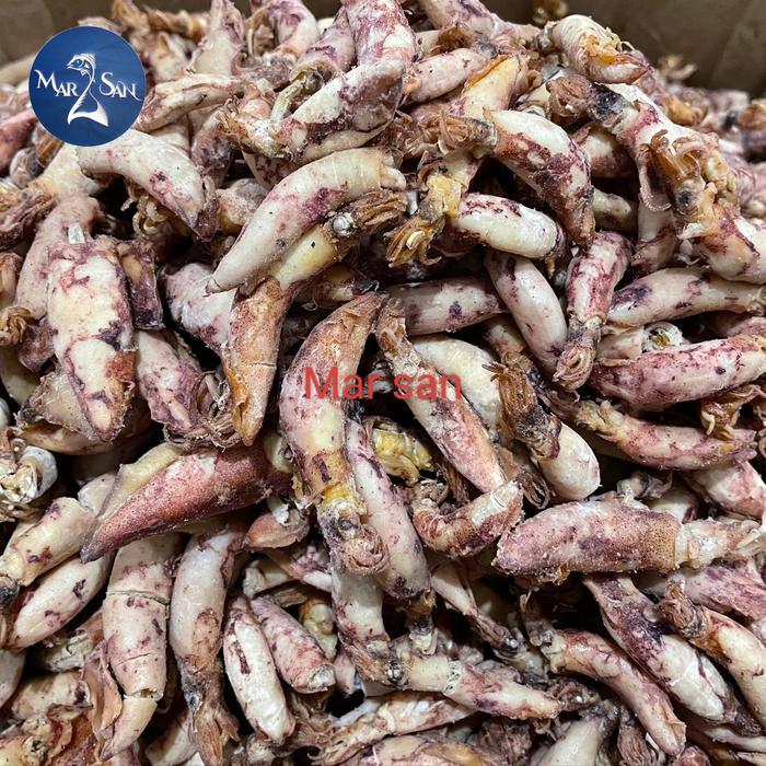 sotong jarum besar 500 g kering /cumi asin telur Merah Fish