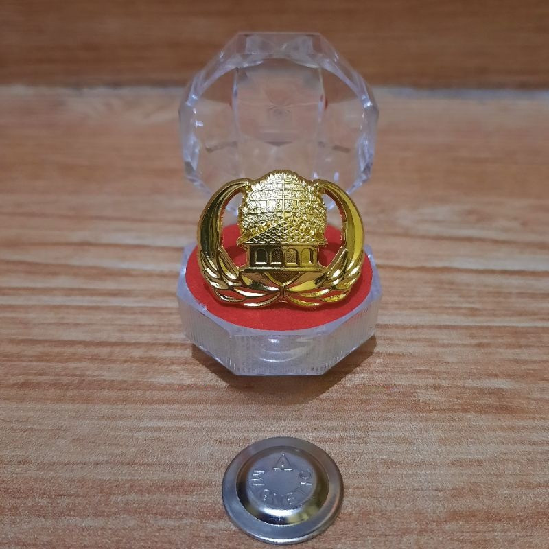 Pin Korpri ASN Kuningan Magnet Pin PNS + Box Pin