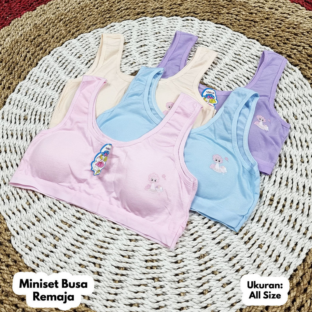 3 & 6 Pcs Miniset Remaja Busa Miniset SD Miniset SMP Miniset Anak Miniset Busa Miniset BH/BRA