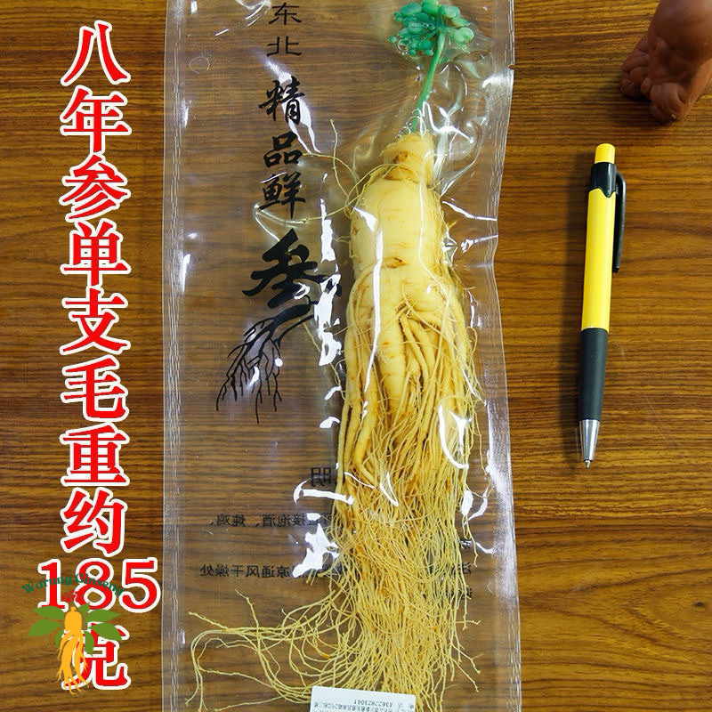 Akar Ginseng Asli Vakum 20gr / 100gr | Ginseng Herbal Import Changbai untuk Kesehatan Pria