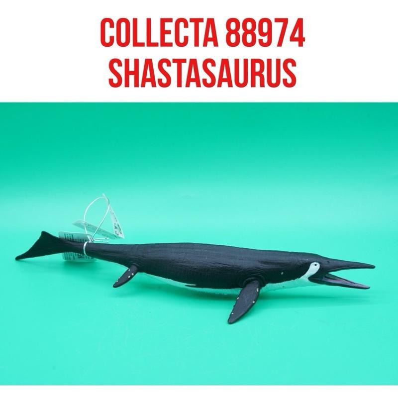 CollectA ID 88974 Shastasaurus Predator Prehistoric Dinosaurs Dinosaurus | Mainan Figure Binatang Mi