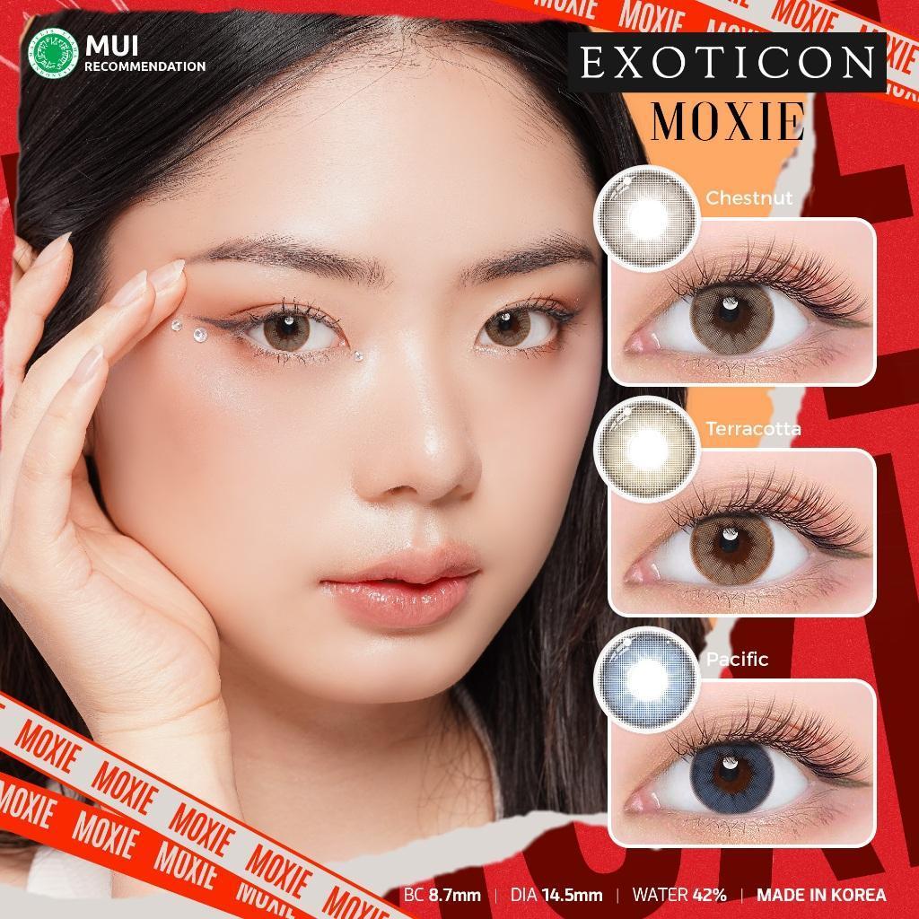 [BIG SALE] Exoticon Softlens Moxie Varian Chestnut -1.25