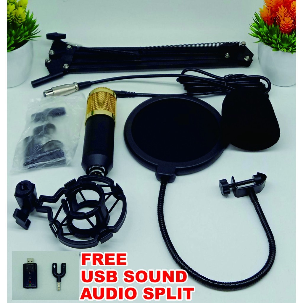 BM800 Microphone Condenser