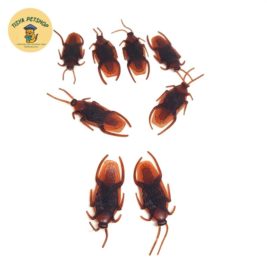 Kecoa Palsu Kecoa Plastik Mainan Usil Jahil Mirip Asli Toys Cat Kucing TP