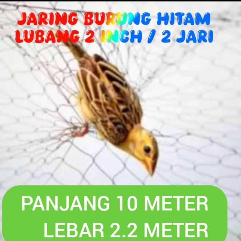 jaring burung kecil lubang 2 jari panjang 10 meter jaring burung pipit jaring burung emprit