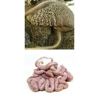Iso Usus Sapi / Babat Sapi Segar Bersih Siap Masak