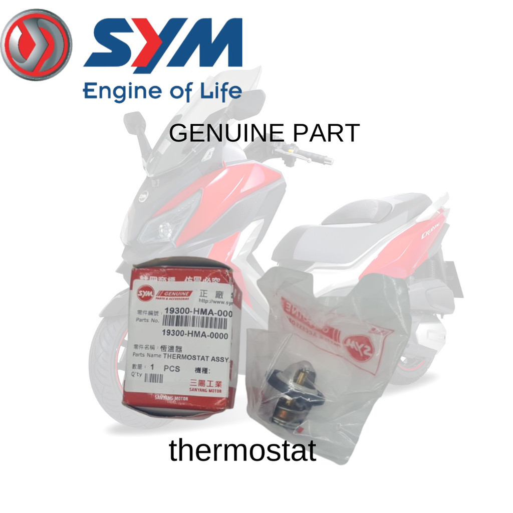 Genuine Part Orginal Part Sym thermostat Sym Gts 250 Evo Sym Gts 250 New